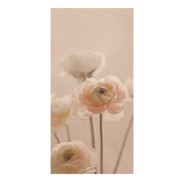Bilder Zarter Strauch an Rosa Blüten