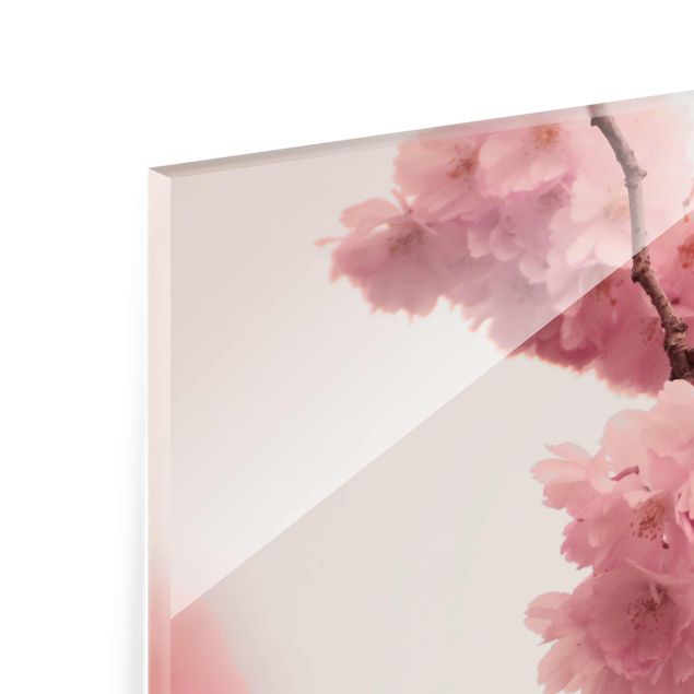 Glasbild - Zartrosane Frühlingsblüte mit Bokeh - Quadrat
