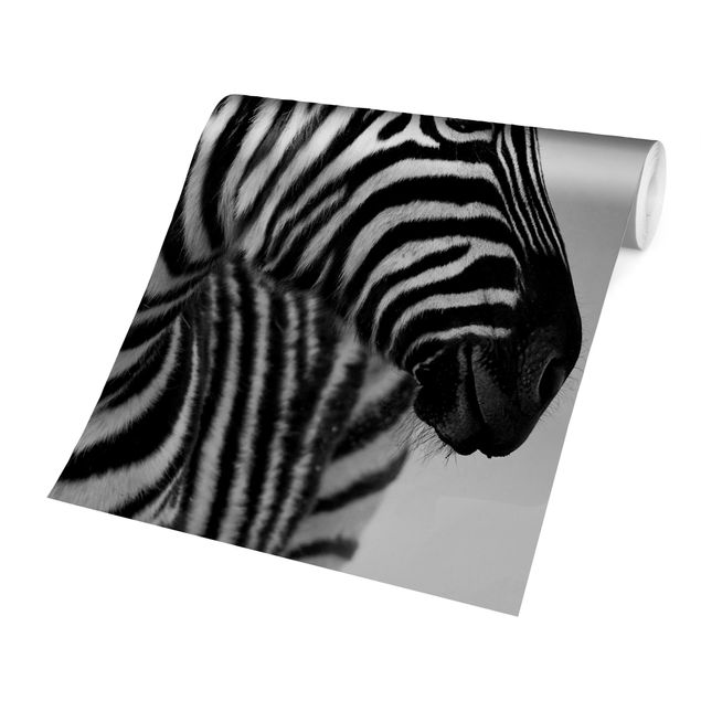 schöne Tapeten Zebra Baby Portrait II
