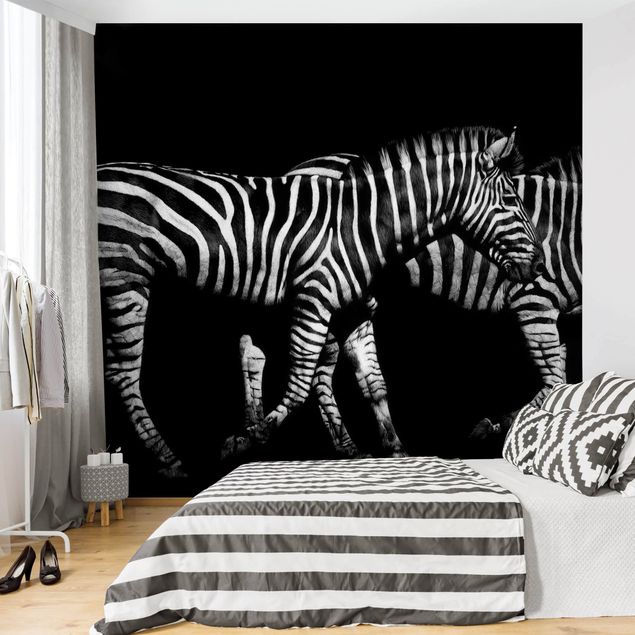 Tapeten Wohnzimmer modern Zebra vor Schwarz
