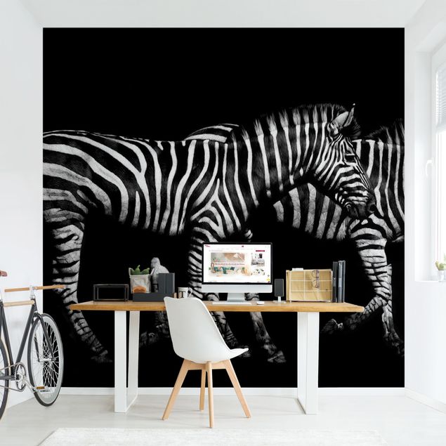 Fototapete Schwarz-Weiß Zebra vor Schwarz