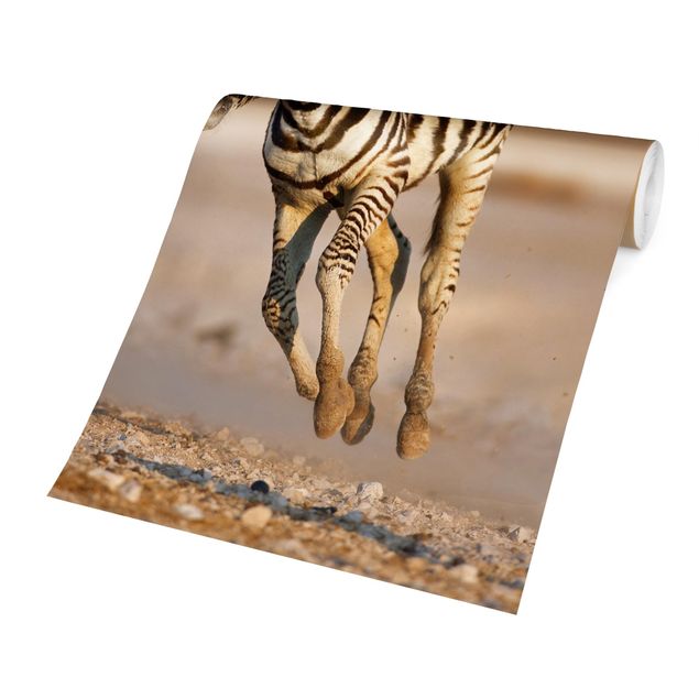 Tapete selbstklebend Zebrafohlen