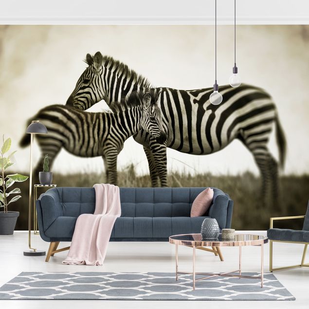 Fototapete Zebra Zebrapaar