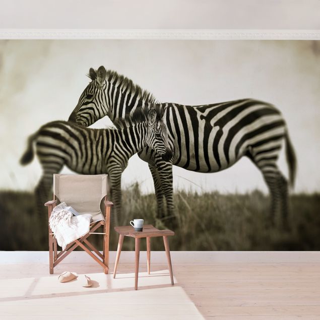 schöne Tapeten Zebrapaar