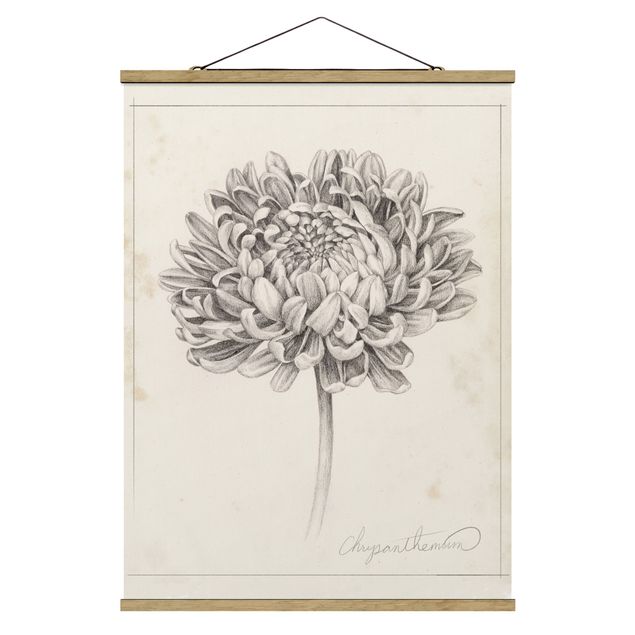 Stoffbild mit Posterleisten - Botanische Studie Chrysantheme II - Hochformat 3:4