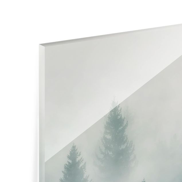 Glas Spritzschutz - Nadelwald im Nebel - Quadrat - 1:1