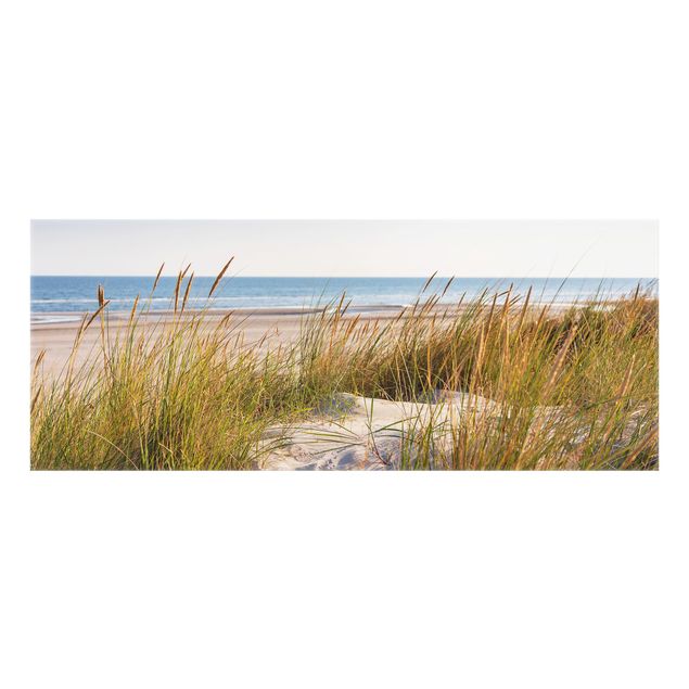 Spritzschutz Natur Stranddüne am Meer