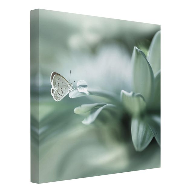 Leinwandbild - Schmetterling und Tautropfen in Pastellgrün - Quadrat 1:1