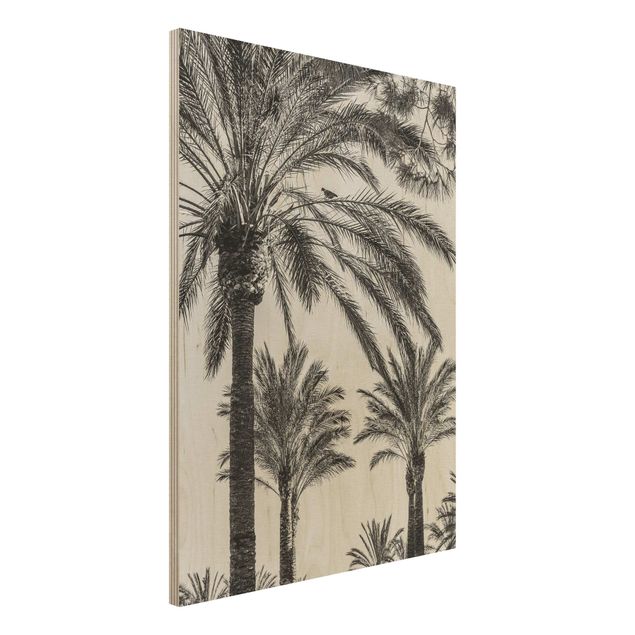 Holzbilder Blumen Palmen im Sonnenuntergang Schwarz-Weiß