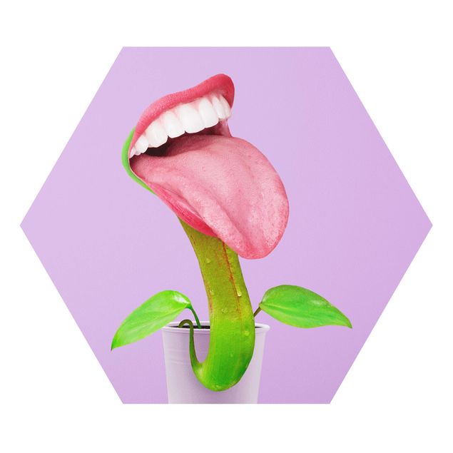 Hexagon Bild Forex - Jonas Loose - Fleischfressende Pflanze mit Mund