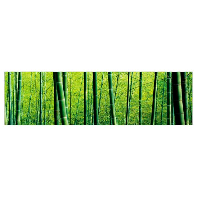 Küchenrückwand Motiv Bambuswald