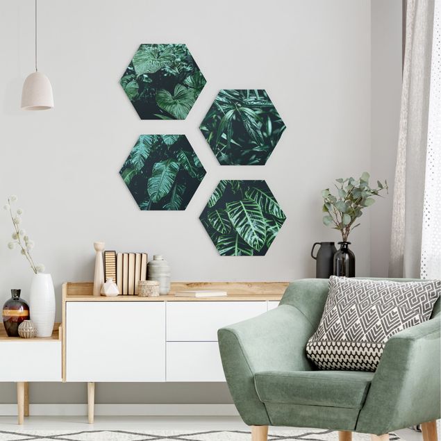Hexagon Bilder Tropische Pflanzen