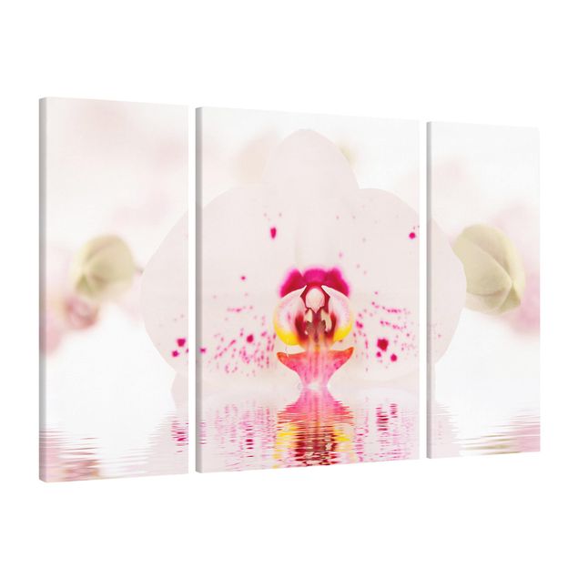 Leinwandbild 3-teilig - Gepunktete Orchidee auf Wasser - Triptychon
