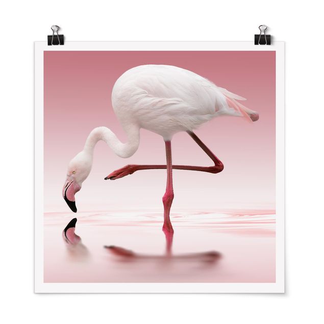 Moderne Poster Flamingo Dance