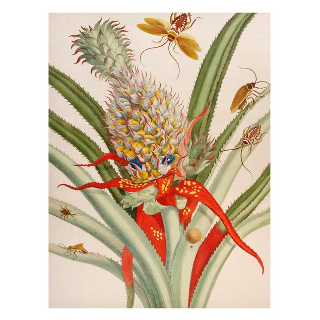 Magnettafel Motiv Anna Maria Sibylla Merian - Ananas mit Insekten