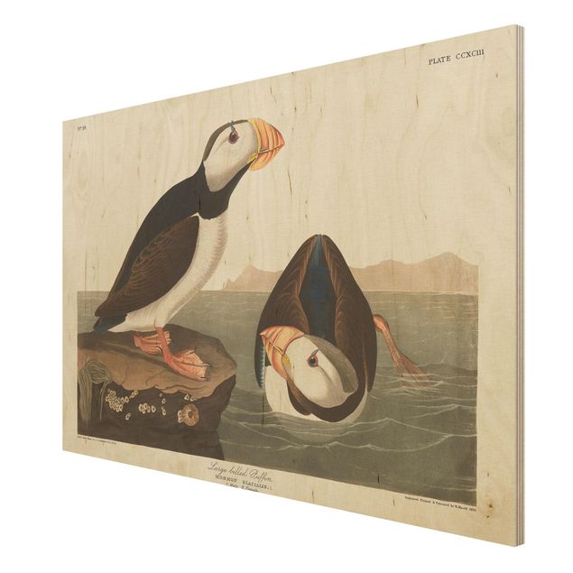 maritime Holzbilder Vintage Lehrtafel Papageientaucher II