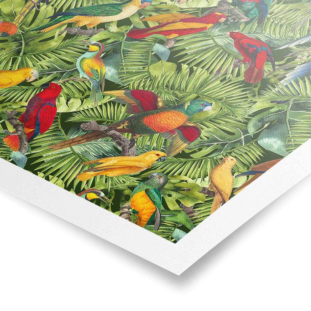 Poster bestellen Bunte Collage - Papageien im Dschungel