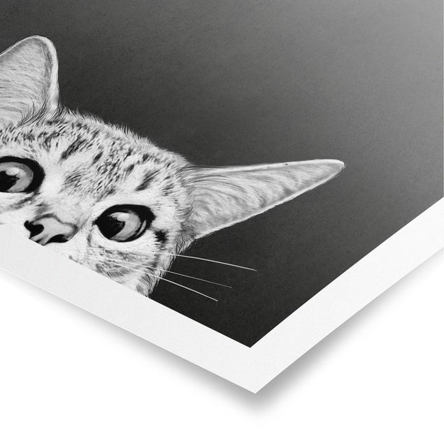 Poster - Illustration Katze Schwarz Weiß Zeichnung - Hochformat 4:3