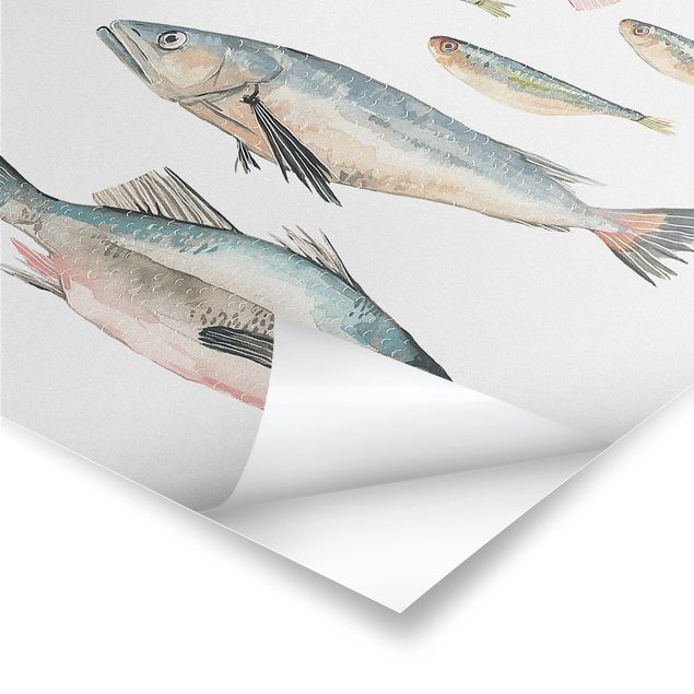 Poster - Sieben Fische in Aquarell II - Hochformat 3:2