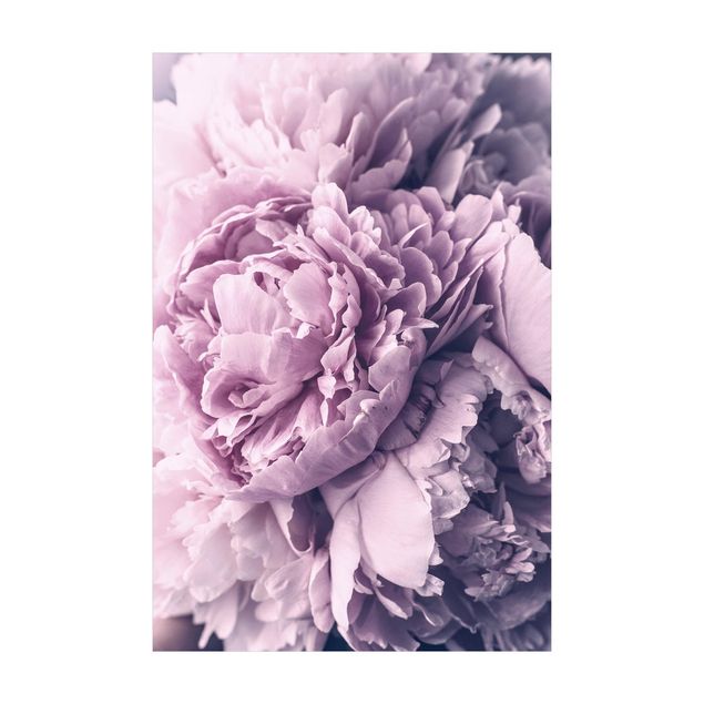 Teppich violett Lila Pfingstrosenblüten