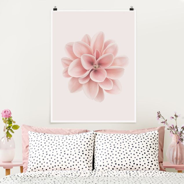 Riesenposter XXL Dahlie Rosa Pastell Blume Zentriert
