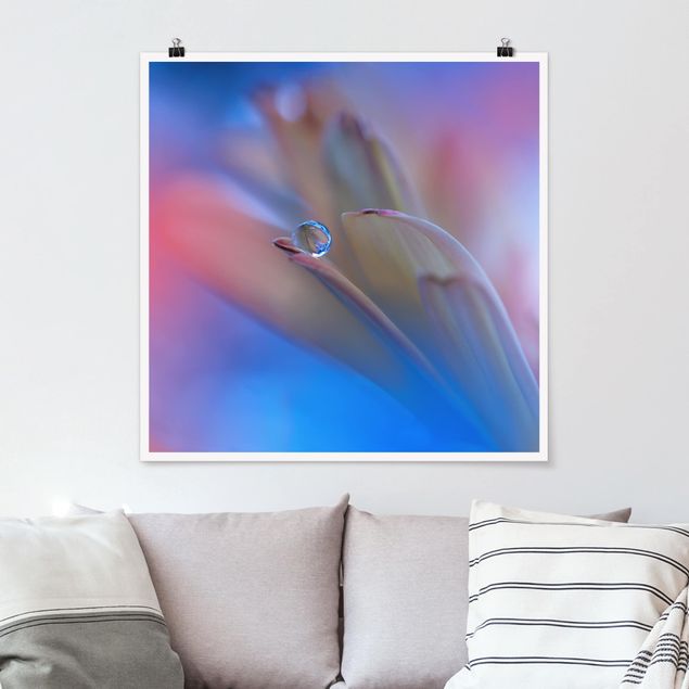 Poster mit Blumen Touch Me Softly