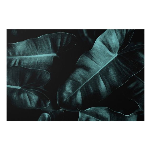 Wandbilder Dschungel Blätter Dunkelgrün