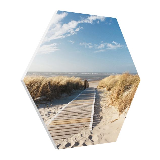 Hexagon Bild Forex - Ostsee Strand