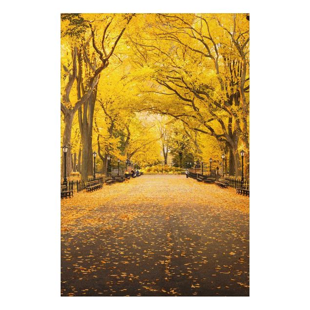 Alu-Dibond - Herbst im Central Park - Querformat
