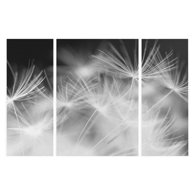 Leinwandbild 3-teilig - Bewegte Pusteblumen Nahaufnahme auf schwarzem Hintergrund - Triptychon