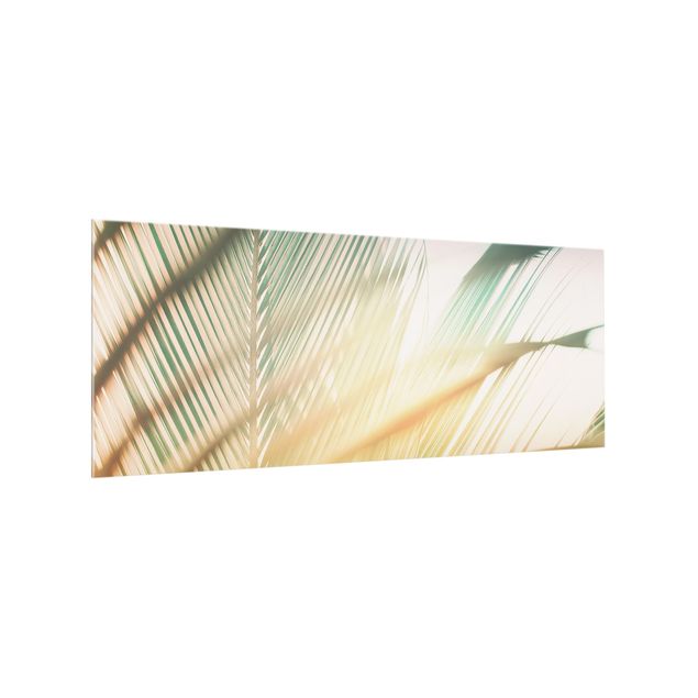 Spritzschutz Tropische Pflanzen Palmen bei Sonnenuntergang II