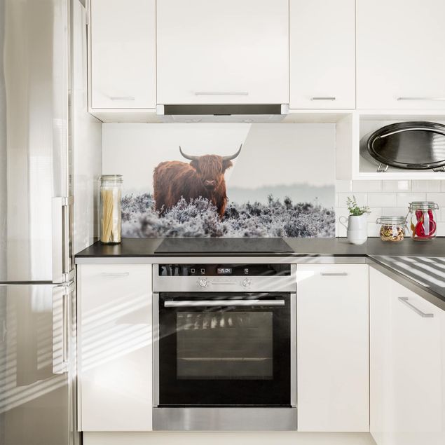 Küchenspritzschutz Bison in den Highlands