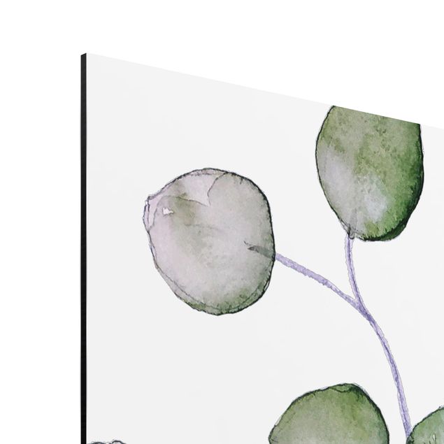 Alu-Dibond - Grünes Aquarell Eukalyptuszweig - Quadrat