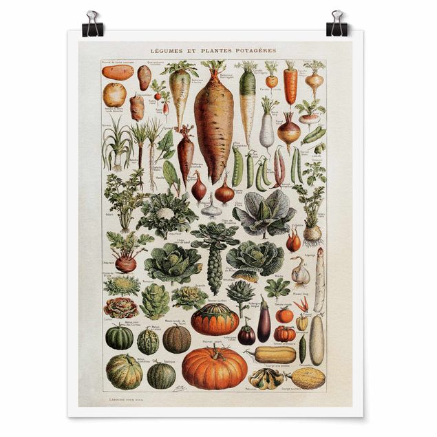 Poster - Vintage Lehrtafel Gemüse - Hochformat 4:3