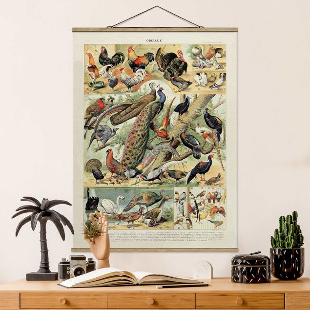 Wandbilder Vintage Lehrtafel Europäische Vögel
