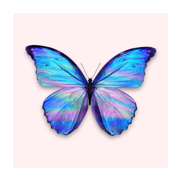 grosser Teppich Holografischer Schmetterling