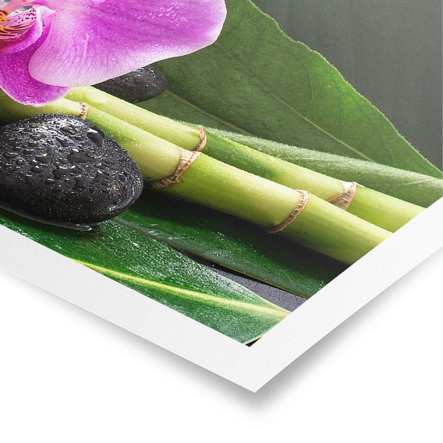 Poster Grüner Bambus mit Orchideenblüte