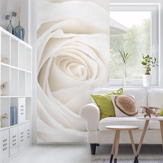Rosenbild Raumteiler - Pretty White Rose - Blumen Raumtrenner 250x120cm