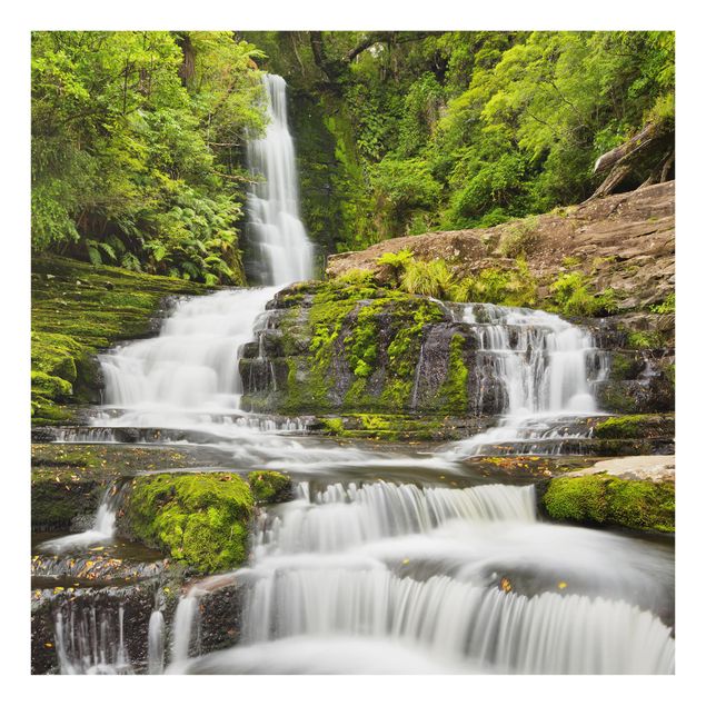 Rainer Mirau Bilder Upper McLean Falls in Neuseeland