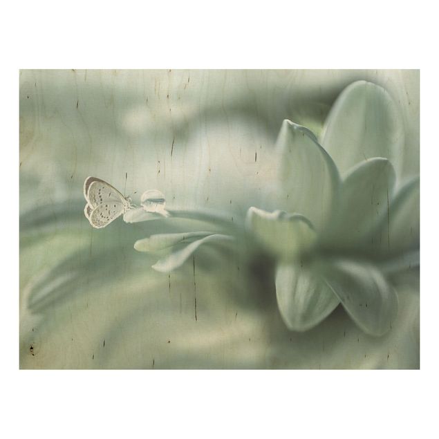 Holzbilder Blumen Schmetterling und Tautropfen in Pastellgrün