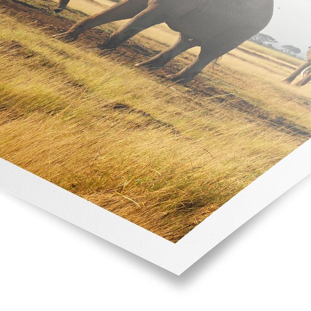 Poster - Elefanten vor dem Kilimanjaro in Kenya - Hochformat 3:4
