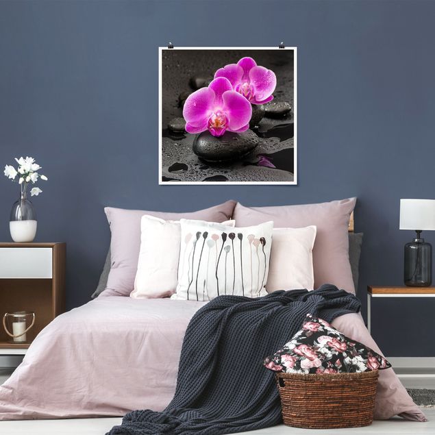 Moderne Poster Pinke Orchideenblüten auf Steinen mit Tropfen