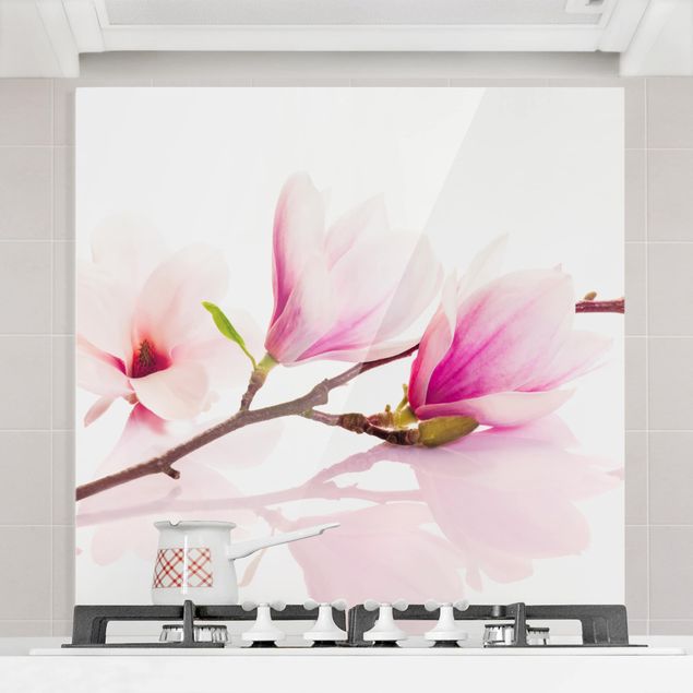 Glasrückwand Küche Blumen Zarter Magnolienzweig