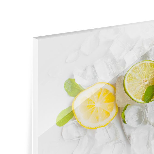 Spritzschutz Glas - Zitrusfrüchte auf Eiswürfel - Panorama - 5:2