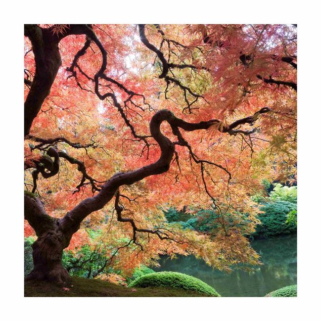 Teppich rot Japanischer Garten