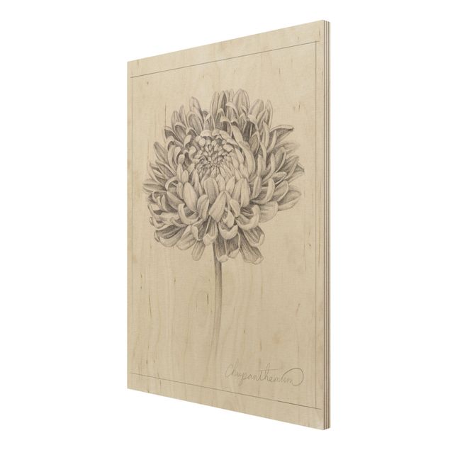 Wandbild Holz Botanische Studie Chrysantheme II