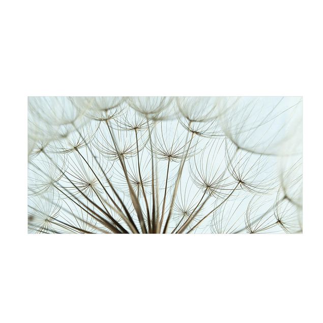 Teppich Blumenmuster Schöne Pusteblume Makroaufnahme