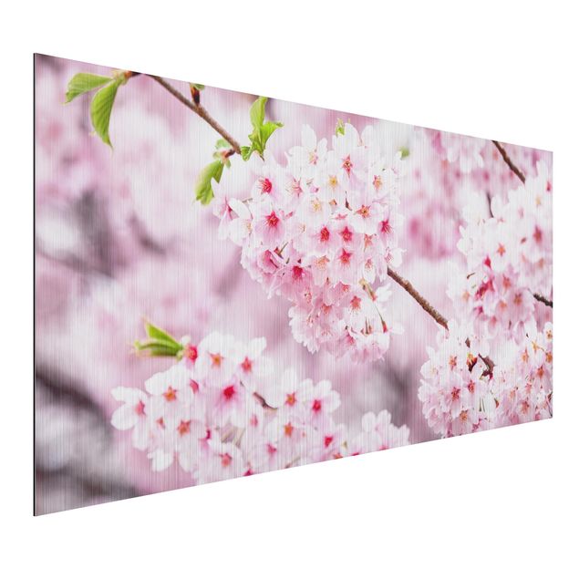 Alu-Dibond - Japanische Kirschblüten - Hochformat