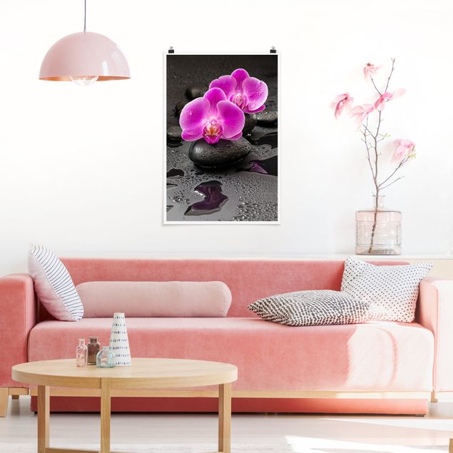Poster Blumen Pinke Orchideenblüten auf Steinen mit Tropfen