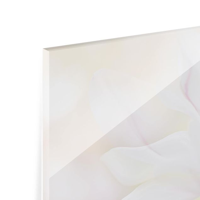 Spritzschutz Glas - Zarte Magnolienblüte - Querformat - 3:2
